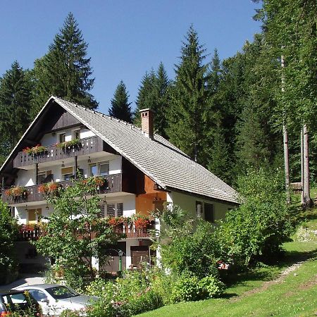 Accommodation Destina, Lake 보히니 외부 사진