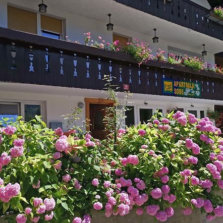 Accommodation Destina, Lake 보히니 외부 사진