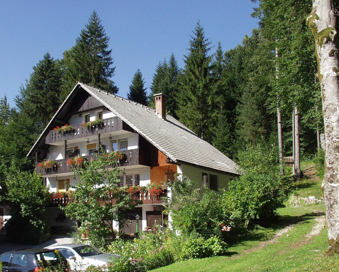 Accommodation Destina, Lake 보히니 외부 사진