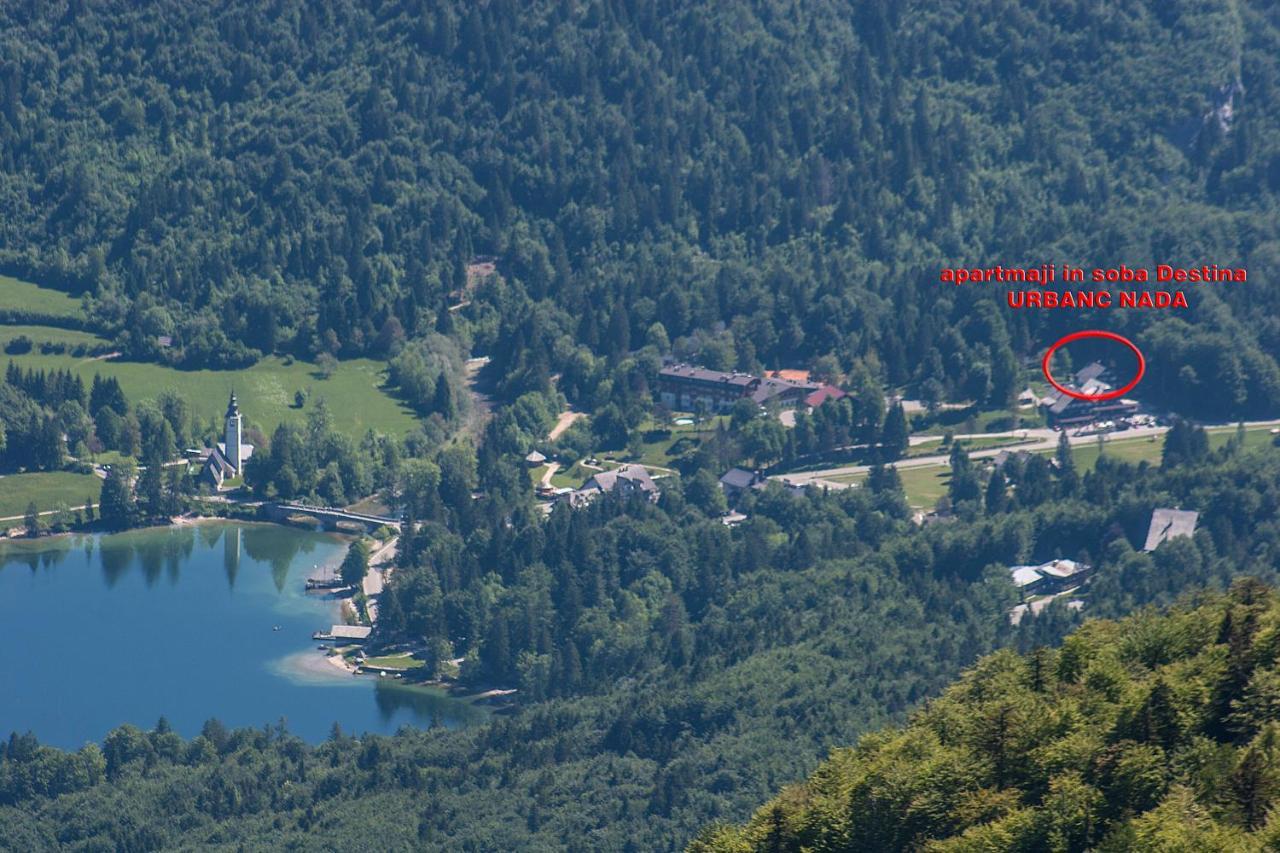 Accommodation Destina, Lake 보히니 외부 사진
