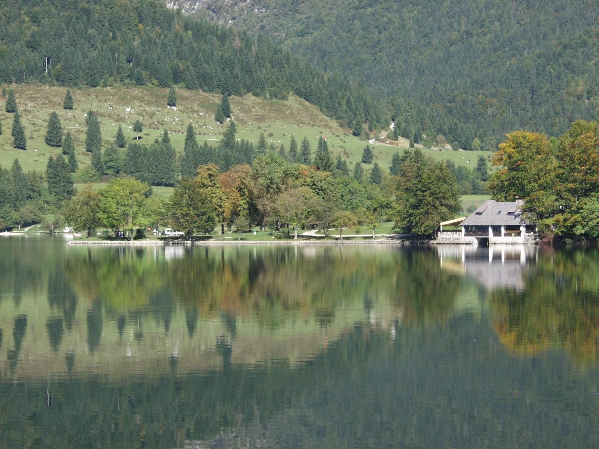 Accommodation Destina, Lake 보히니 외부 사진