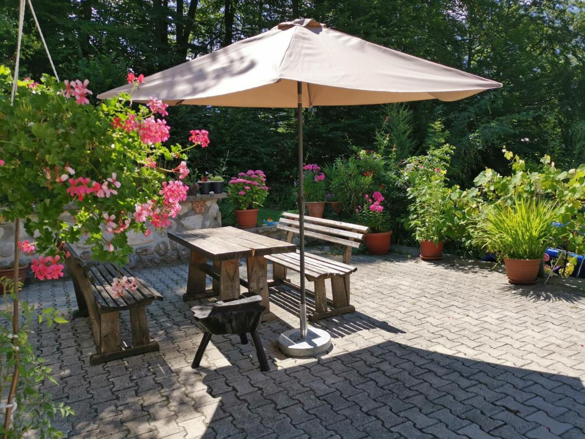 Accommodation Destina, Lake 보히니 외부 사진