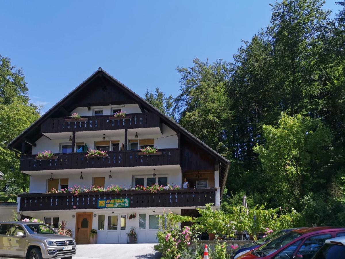 Accommodation Destina, Lake 보히니 외부 사진
