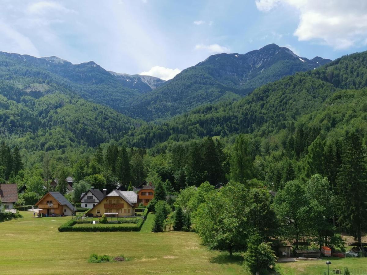Accommodation Destina, Lake 보히니 외부 사진